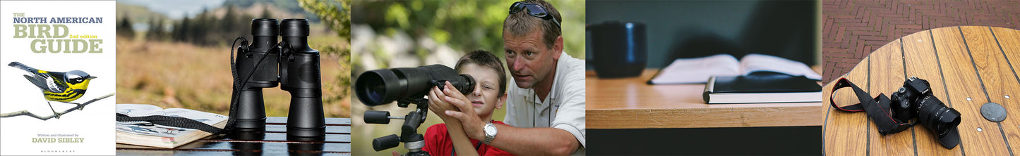 5-items-that-will-take-your-birding-to-another-level