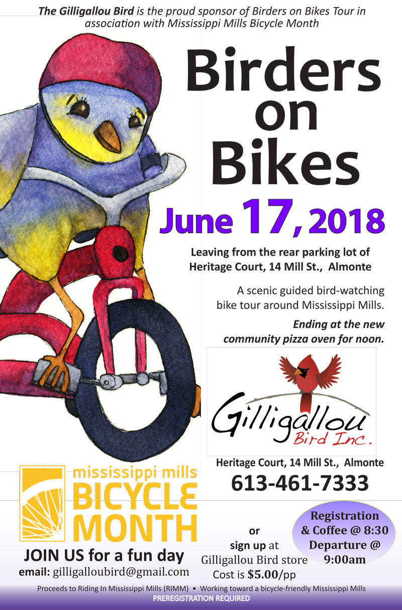 Birders on Bikes 2018
