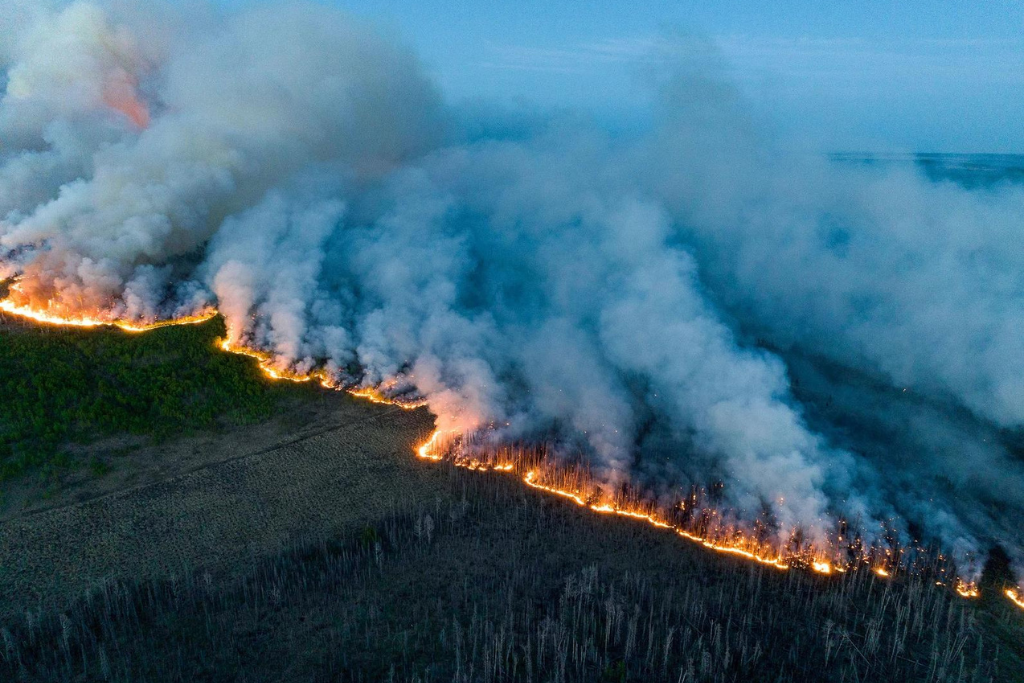 Wildfires raging through a Canadian forest rich with birds and wildlife