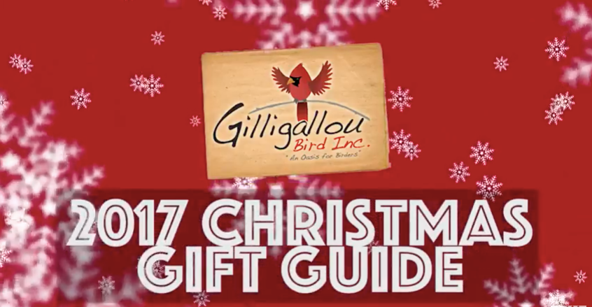 2017-christmas-git-guide