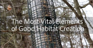  The Most Vital Elements of Good Habitat Creation