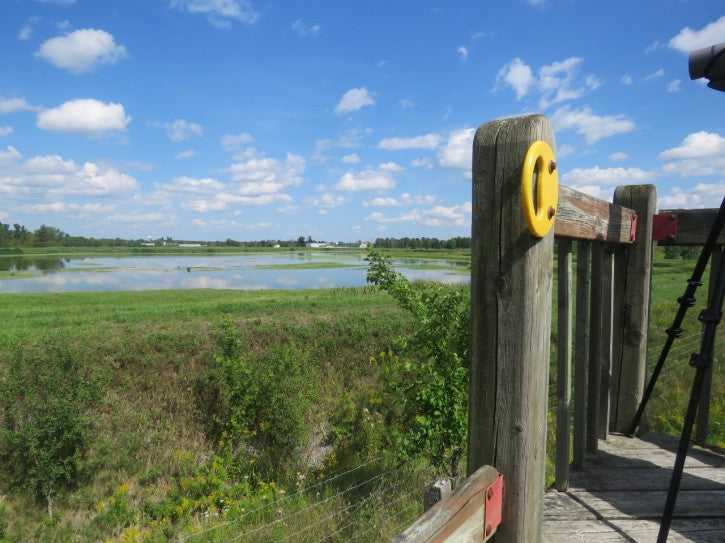 almonte-lagoons-observation-tower