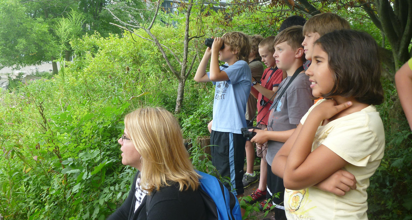 bird-sleuth-cornell-ornithology