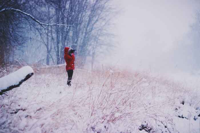 bird-watching-in-winter