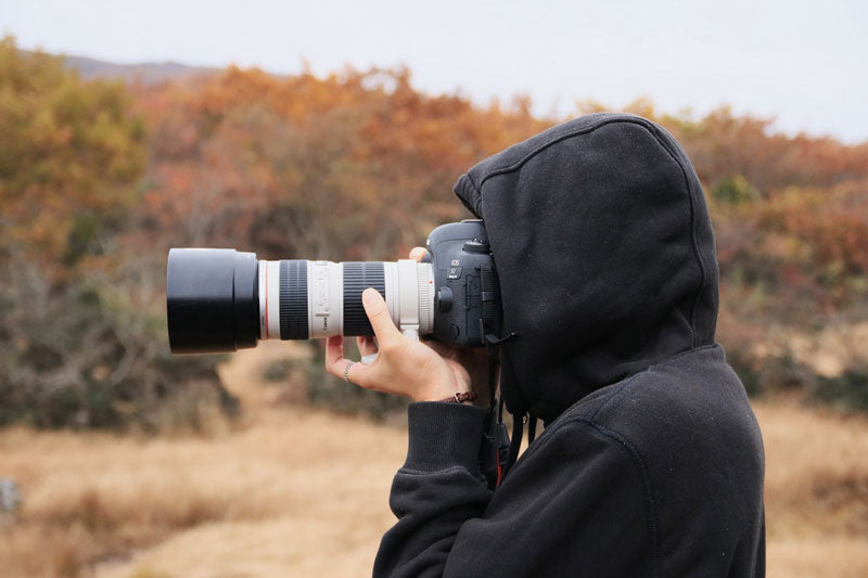 Position, Focus and Other Bird Watching Photography Tips