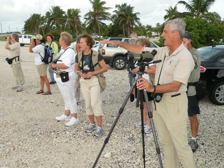 bird-watching-tour