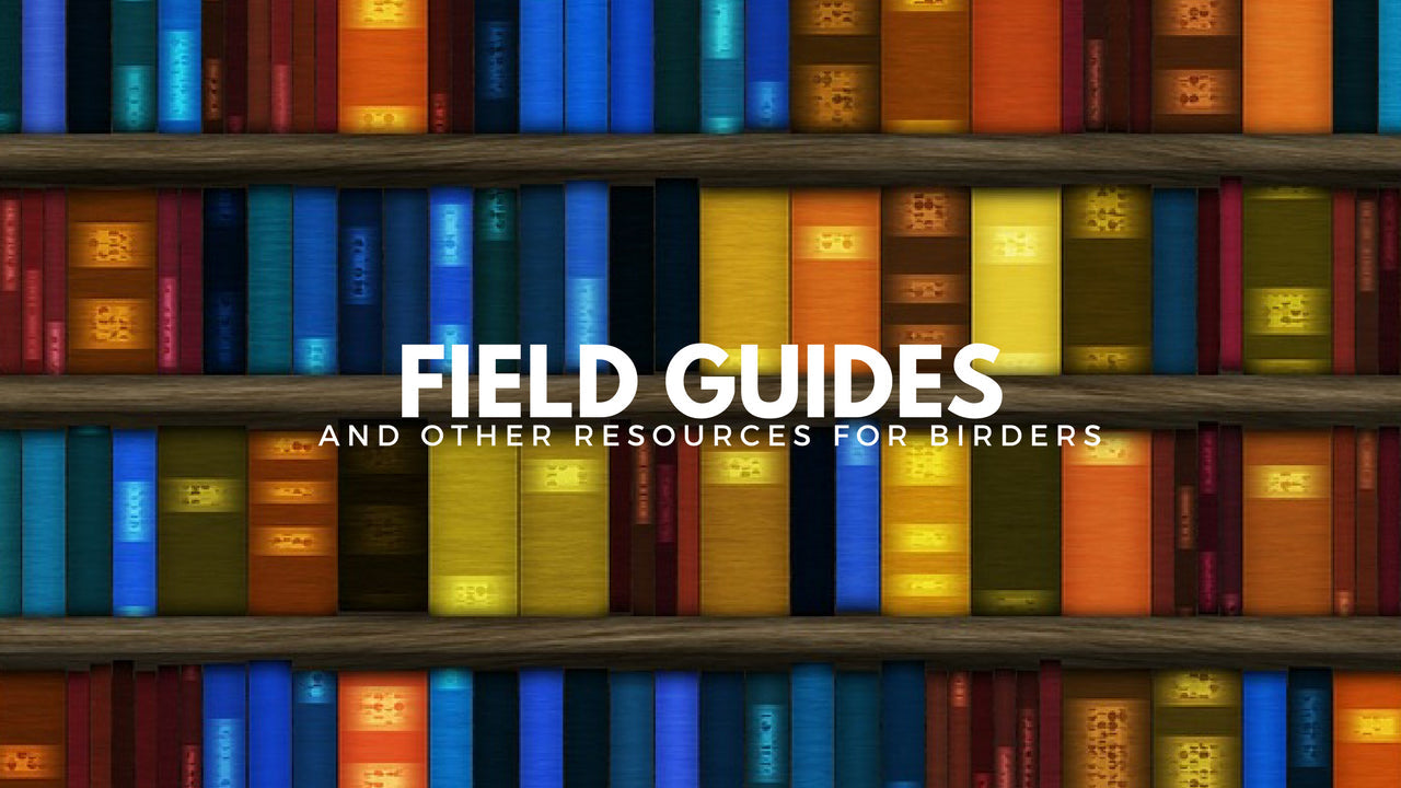 Essential Field Guides for Bird Watching Enthusiasts – Gilligallou Bird