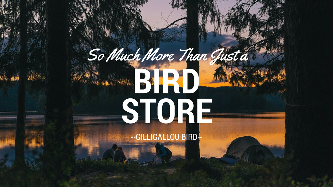 a-bird-watching-store-and-more-ottawa