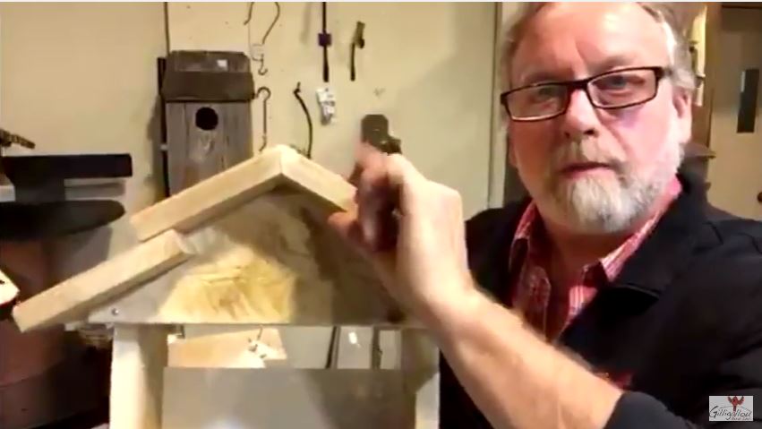 hopper-feeder-video-screenshot