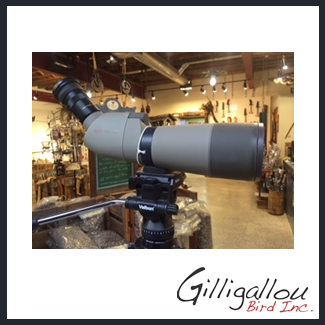 kowa-spotting-scope