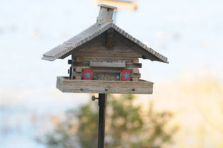  Enjoy Your Backyard Birds With A Hopper Feeder