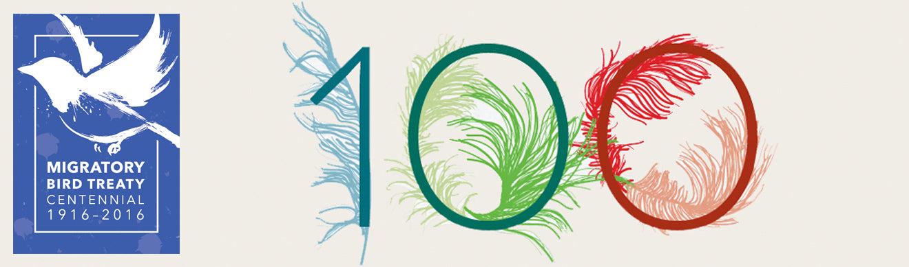 migratory-bird-treaty-centennial