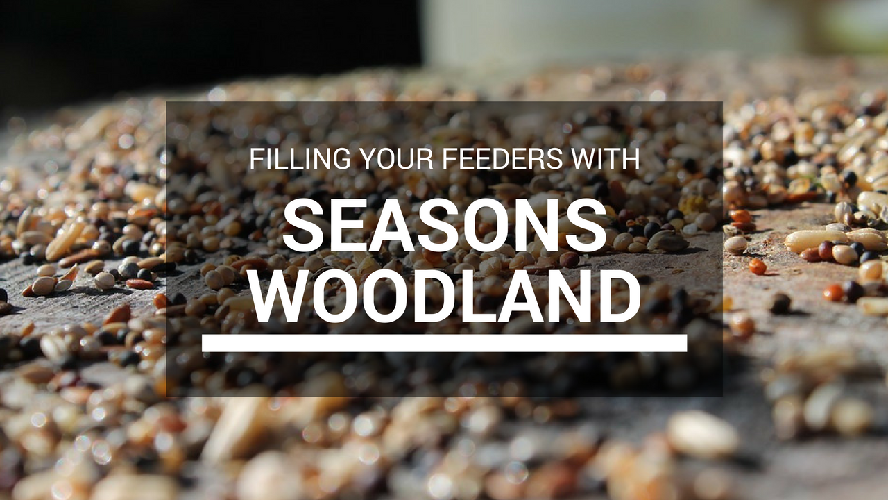 seasons-woodland-bird-seed