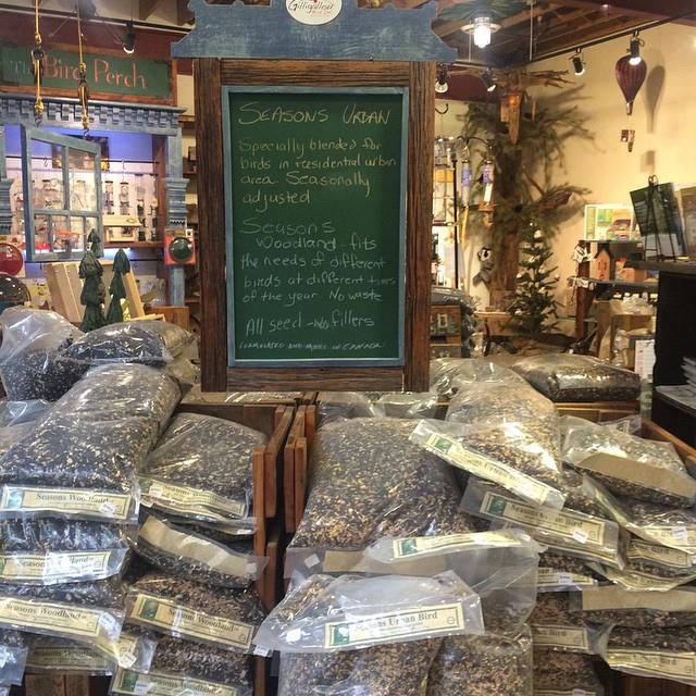 Gilligallou-bird-seed
