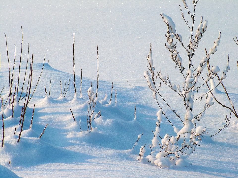 winter-scene
