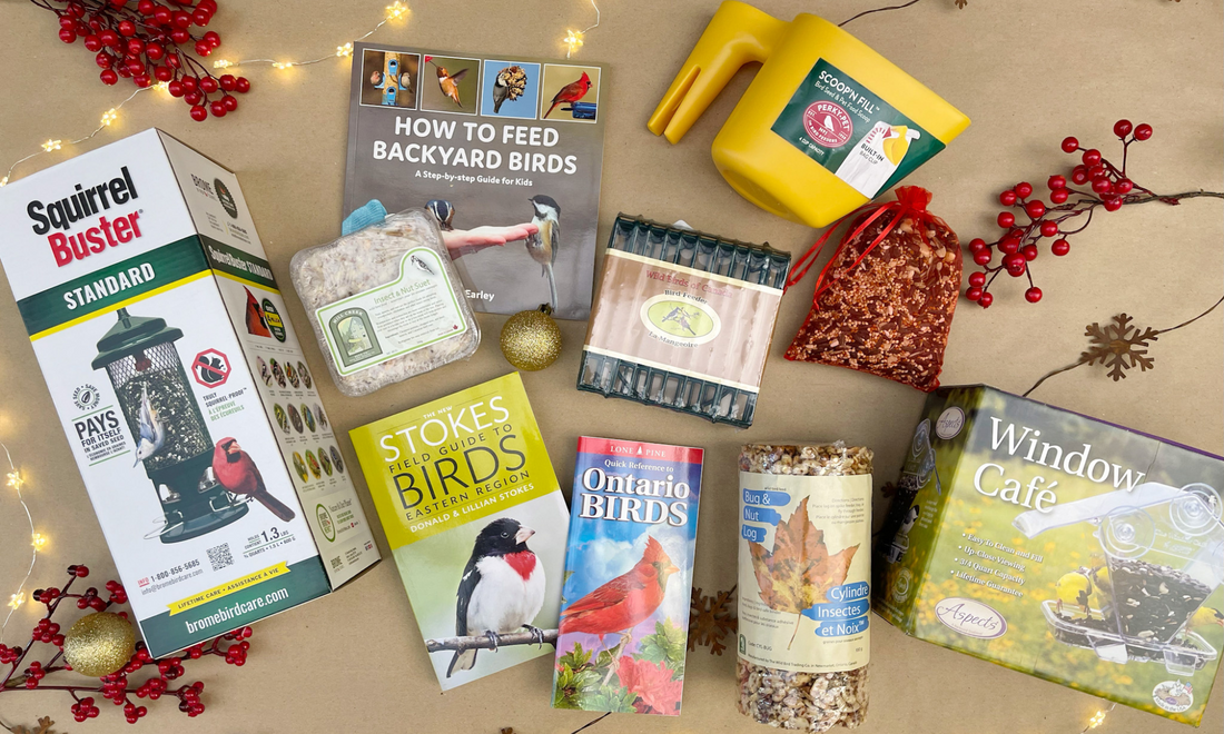  Birding 101 - Holiday Gift Guide 2023
