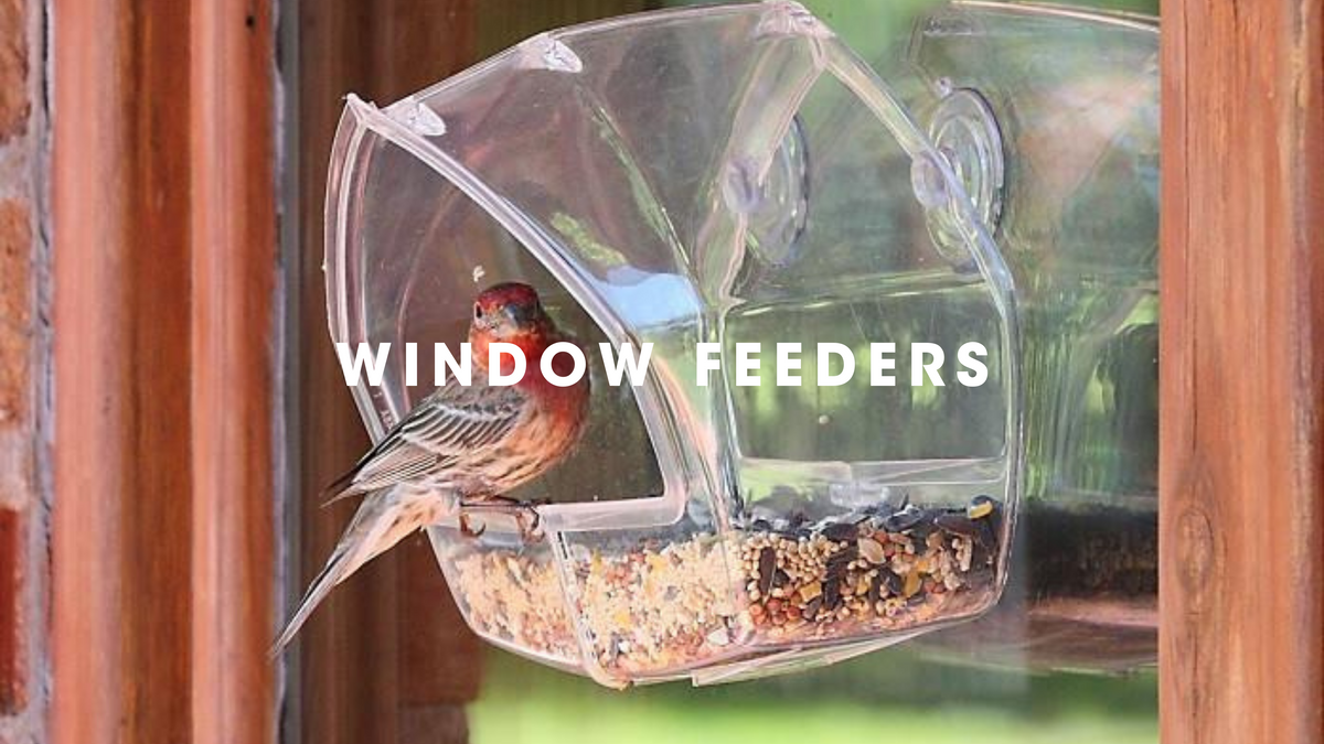Window bird feeder - Gessato Design Store