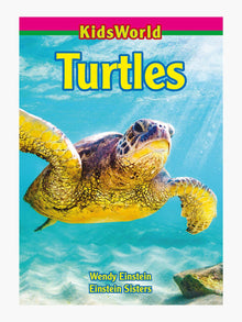  Turtles, KidsWorld