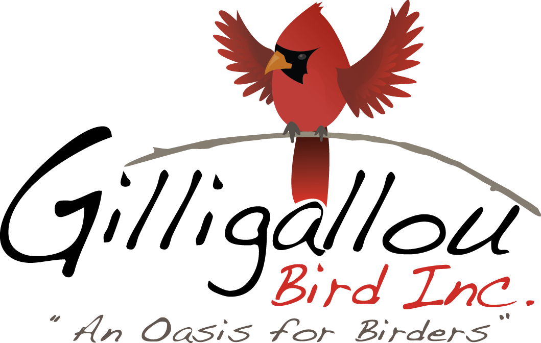 Birding stores near me clearance