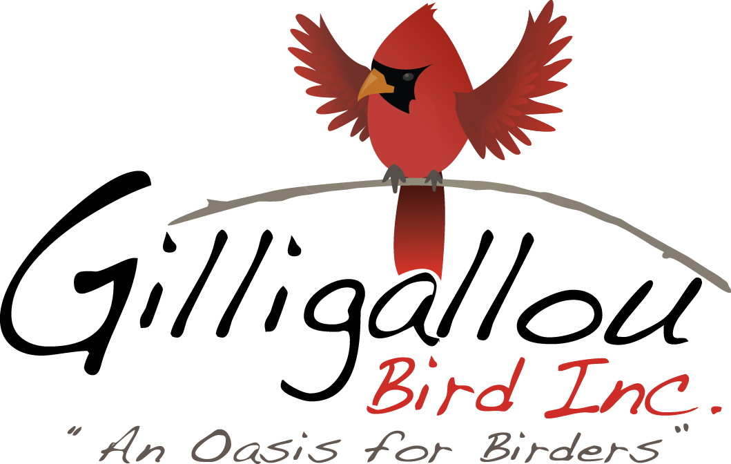 Gilligallou Bird - Canadian Backyard Birding Specialty Store