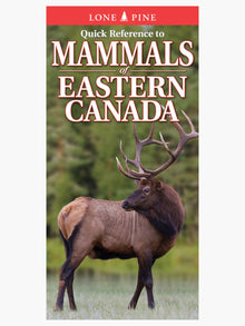  Quick Reference to Mammals of Eastern Canada - Folding Guide
