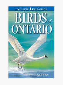  Birds of Ontario Paperback