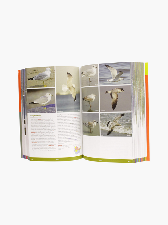 The Stokes Field Guide to The Birds of North America Book