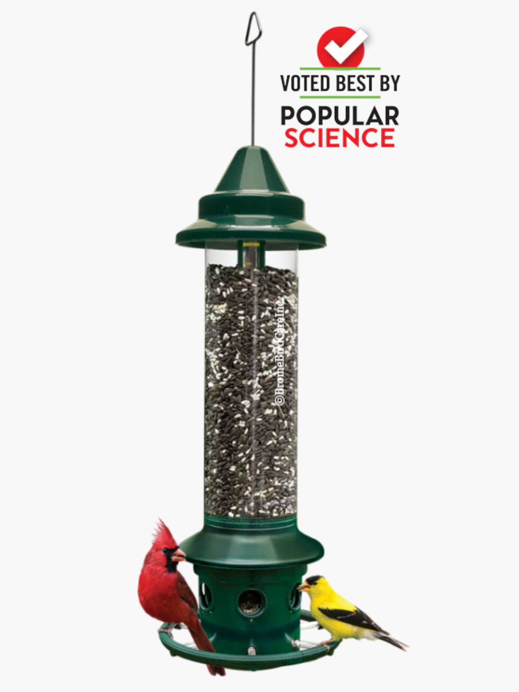 Brome Squirrel Buster Plus Bird Feeder