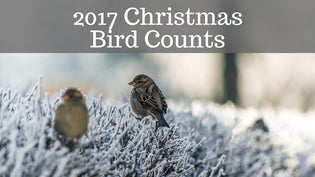  2017-christmas-bird-counts