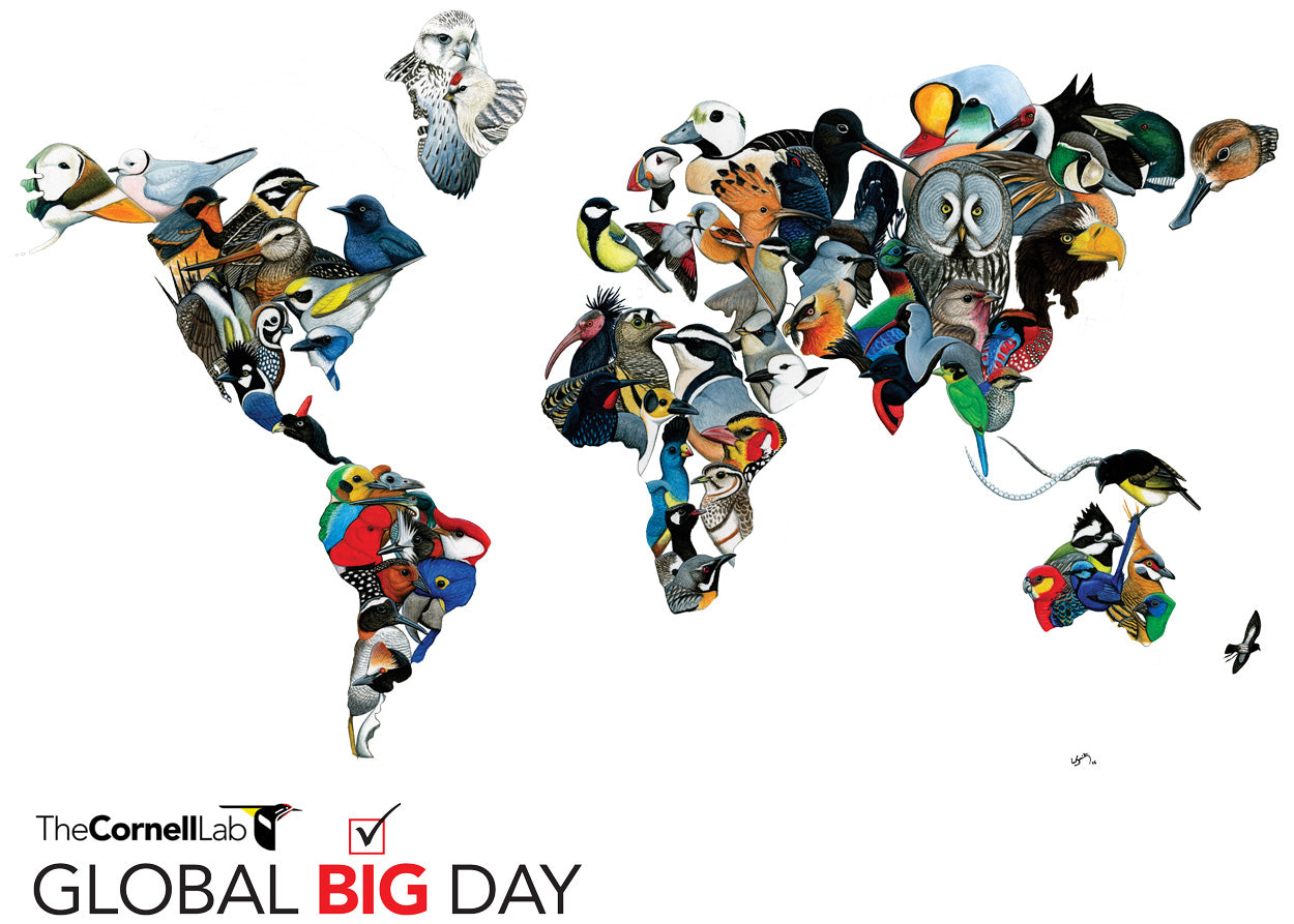 global-big-day-logo