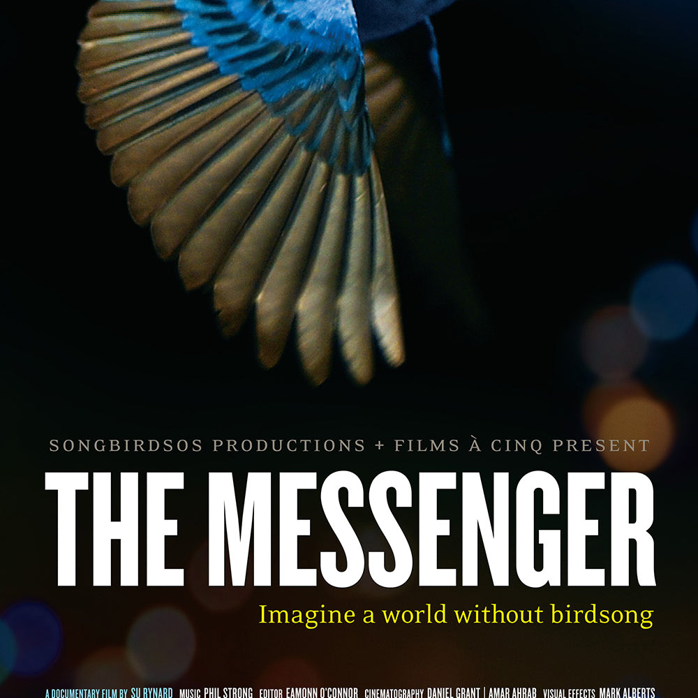 messenger-poster-web