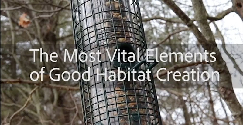 The Most Vital Elements of Good Habitat Creation