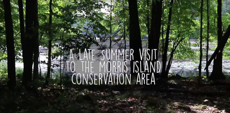 A Visit to Morris Island Conservation Area