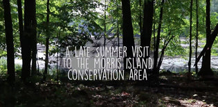  A Visit to Morris Island Conservation Area
