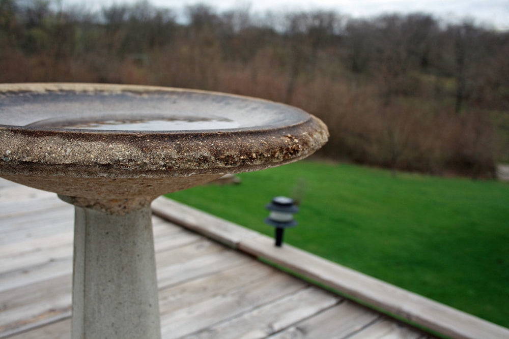 birdbath-in-fall