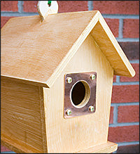 bird-house-hole-protector