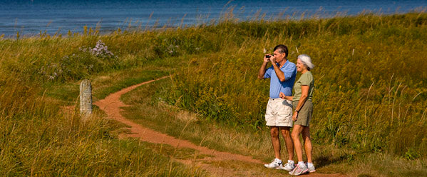 bird-watching-in-PEI