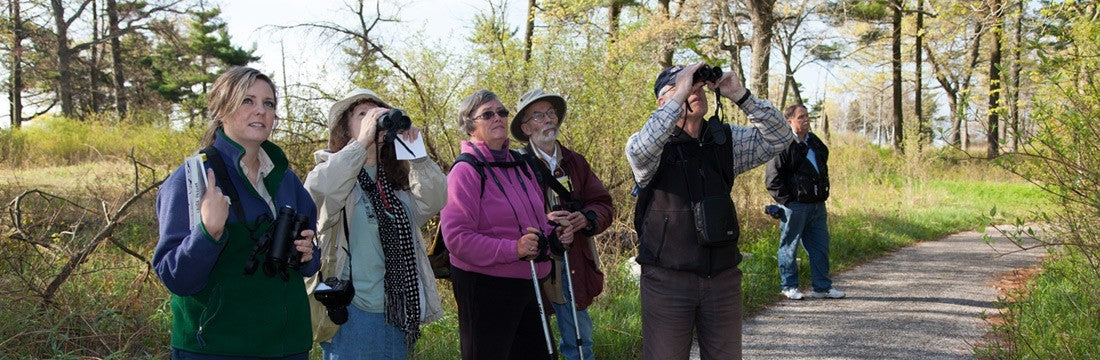 birding-in-ontario