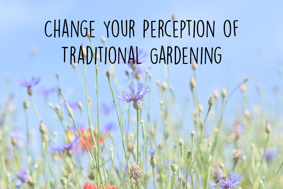 change-your-perception-of-traditional-gardening