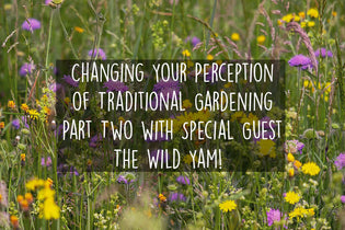  changing-traditional-gardening-with-the-wild-yam