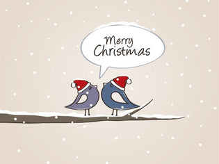  christmas-love-birds