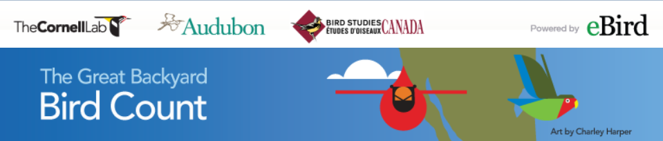 The 2016 Great Backyard Bird Count is Coming! – Gilligallou Bird