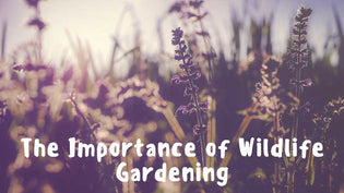  the-importance-of-wildlife-gardening