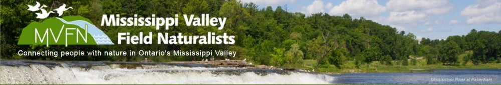 Mississippi-valley-field-naturalists-banner