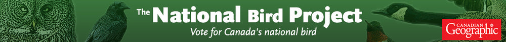 canadas-national-bird