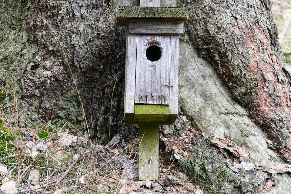 nesting-box