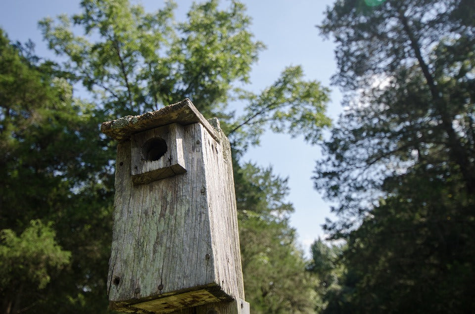 nesting-box