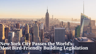  new-york-city-bird-friendly-building-legislation