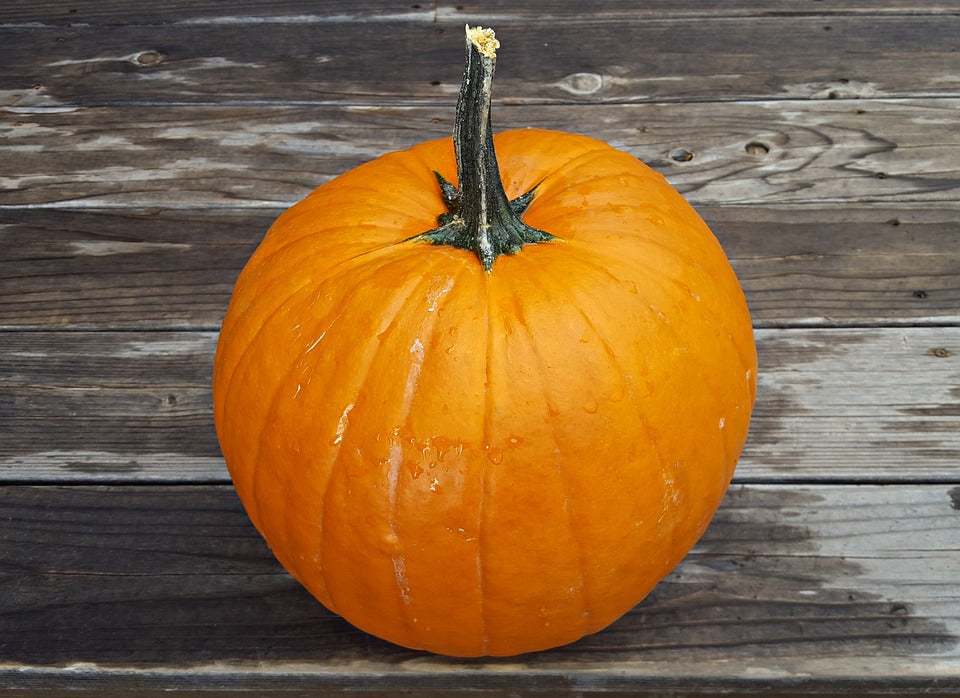 halloween-pumpkin