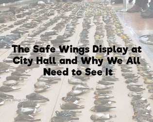  safe-wings-display-ottawa